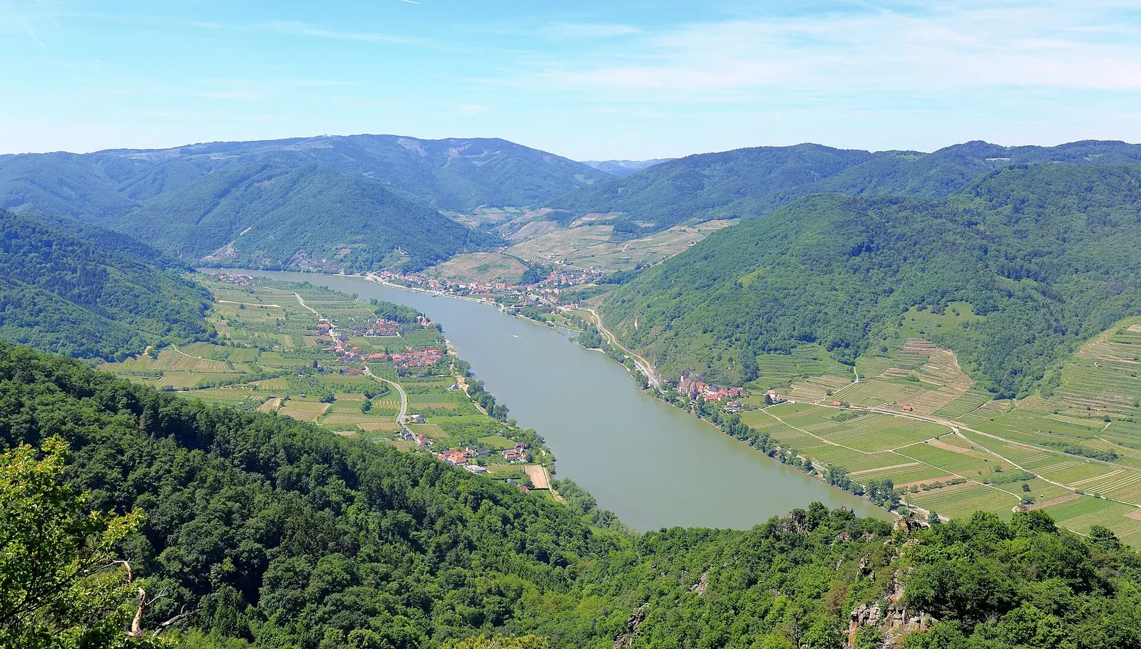 Vinorodna dolina Wachau ob Donavi
