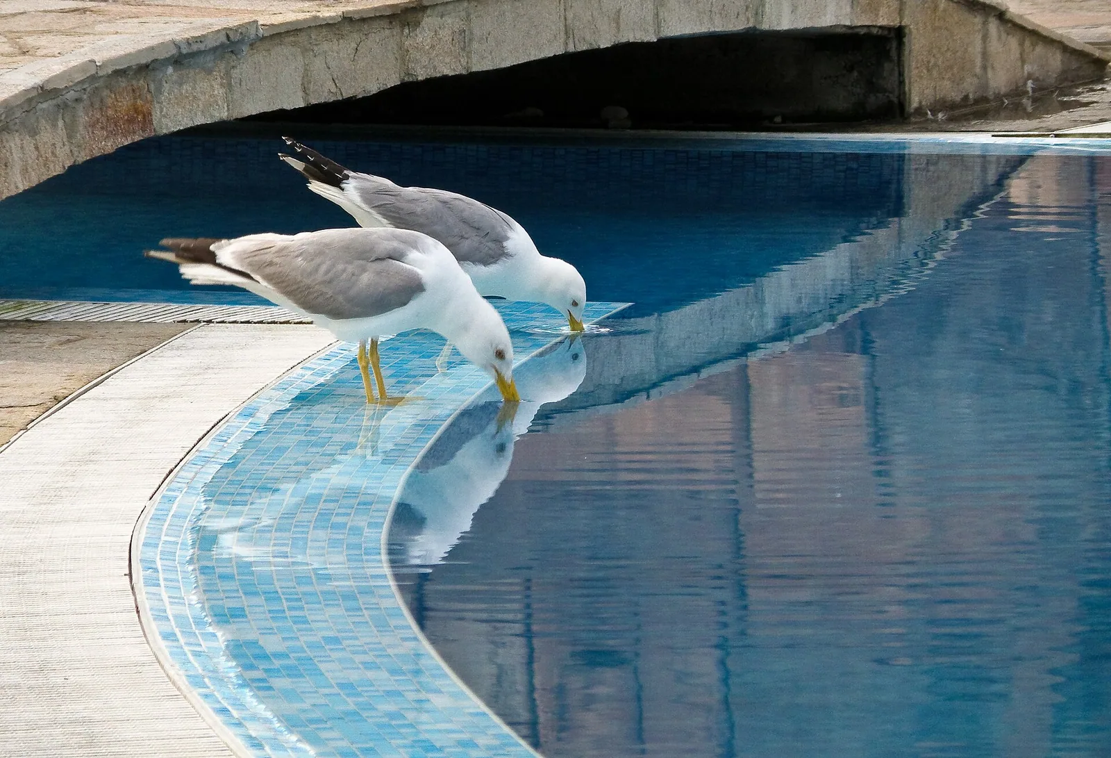 Peščene plaže ob Črnem morju