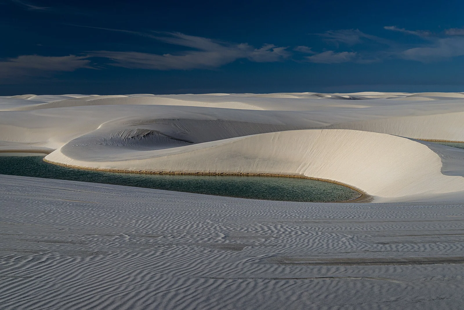 Sipine in lagune narodnega parka Lençóis Maranhenses