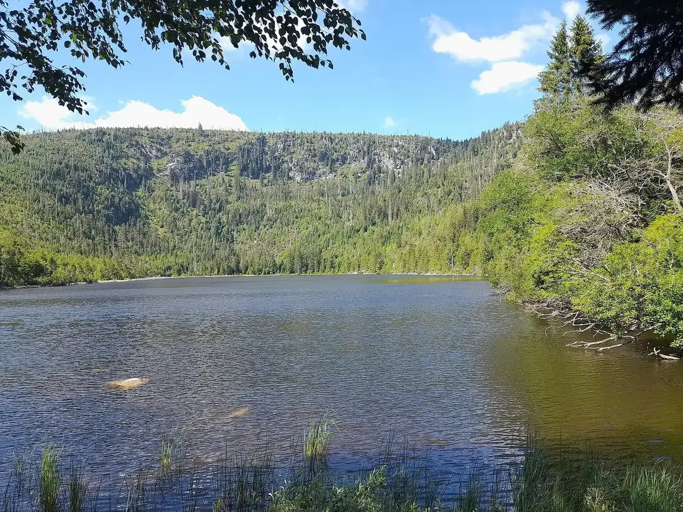 Plešné jezero v Šumavi