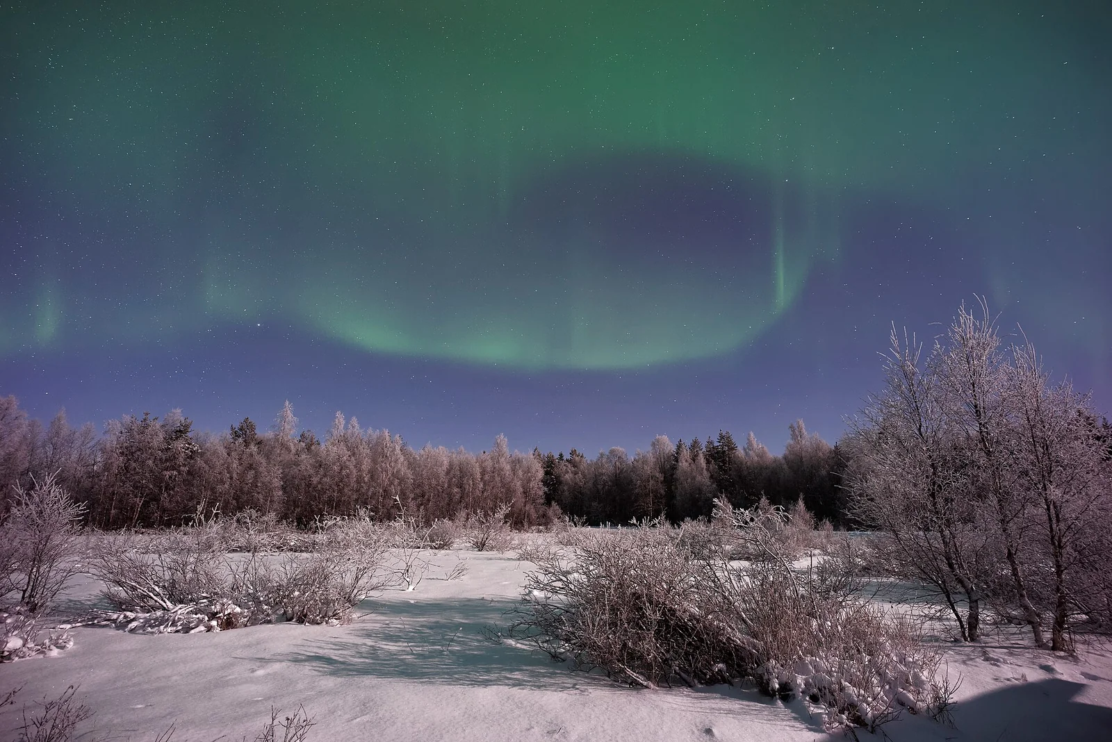 Polarni sij nad Laponsko