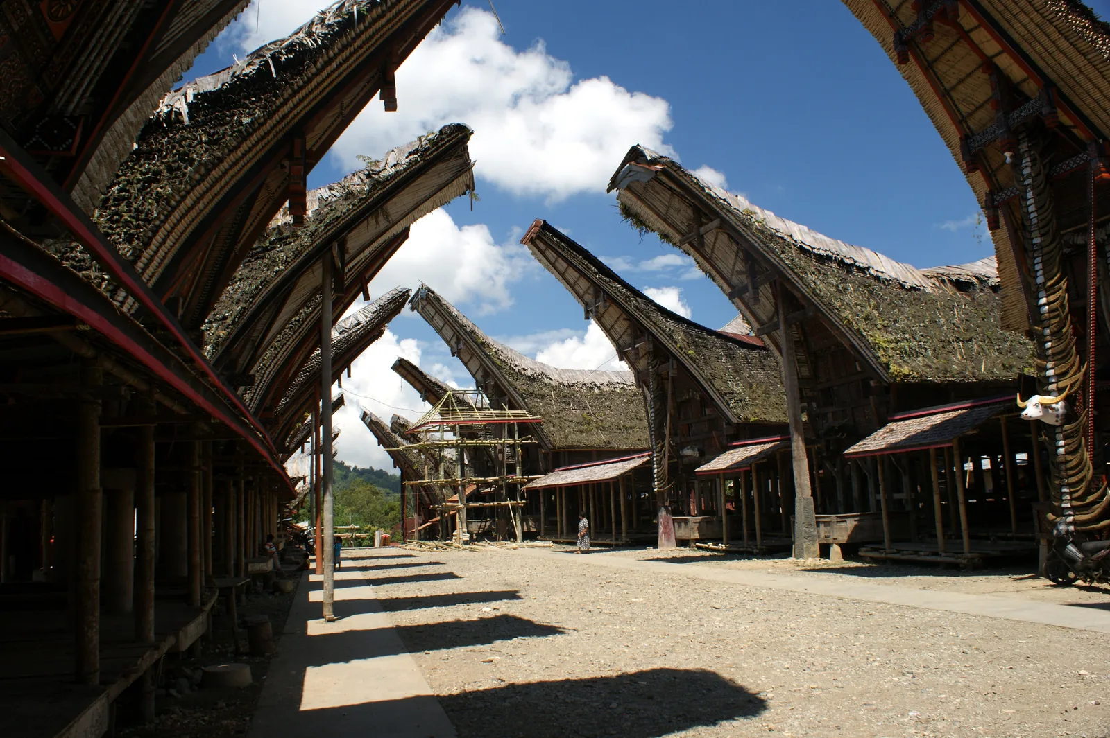 Pokrajina Tana Toraja