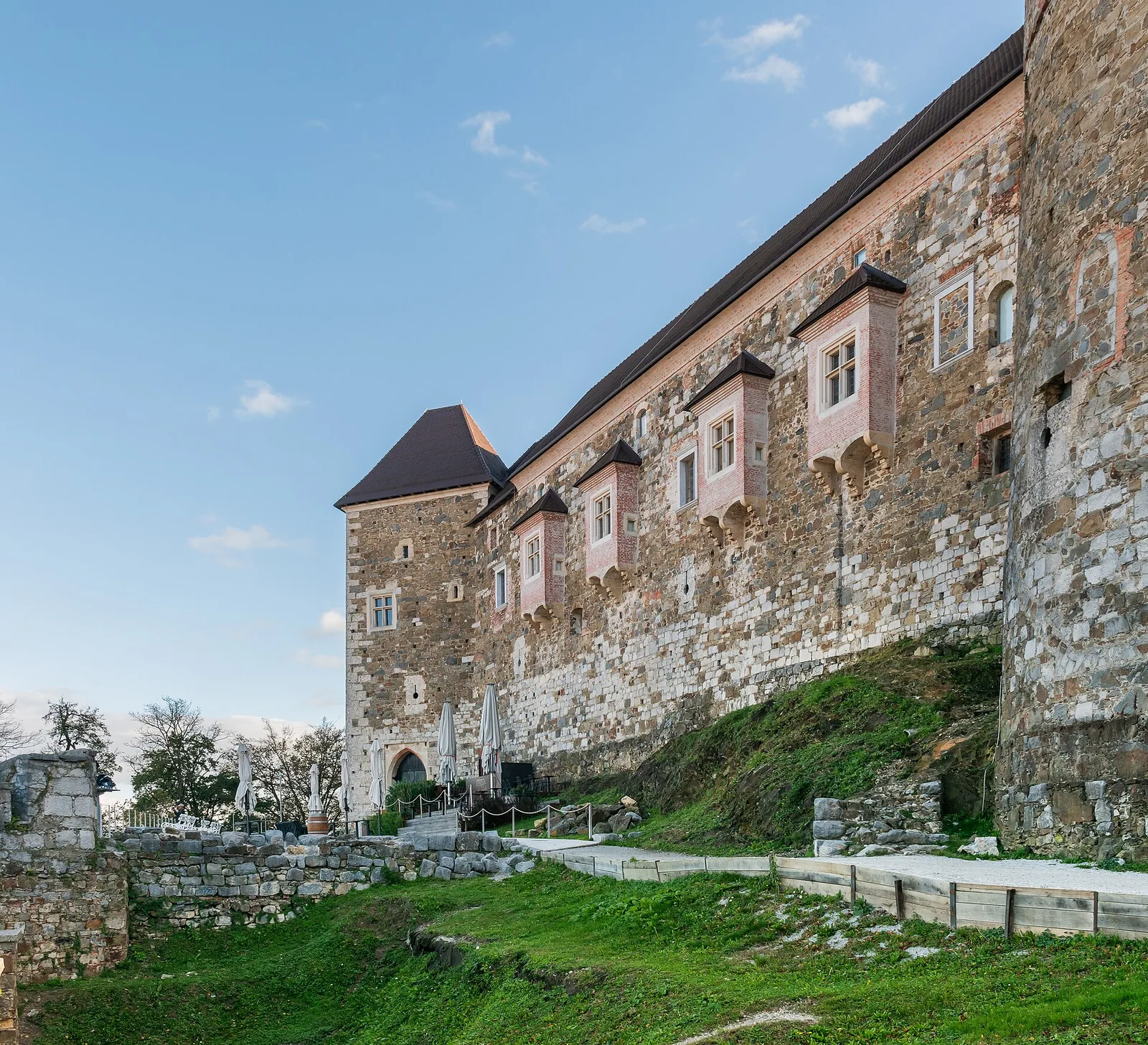 Ljubljanski grad nad starim mestom