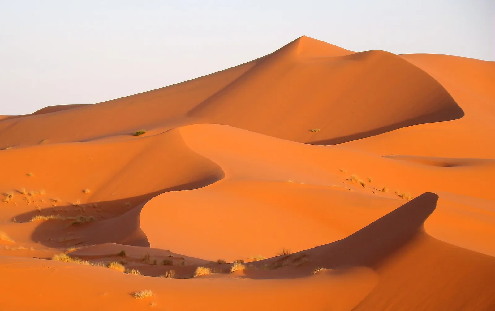 Dune Erg Chebbi pri Merzougi