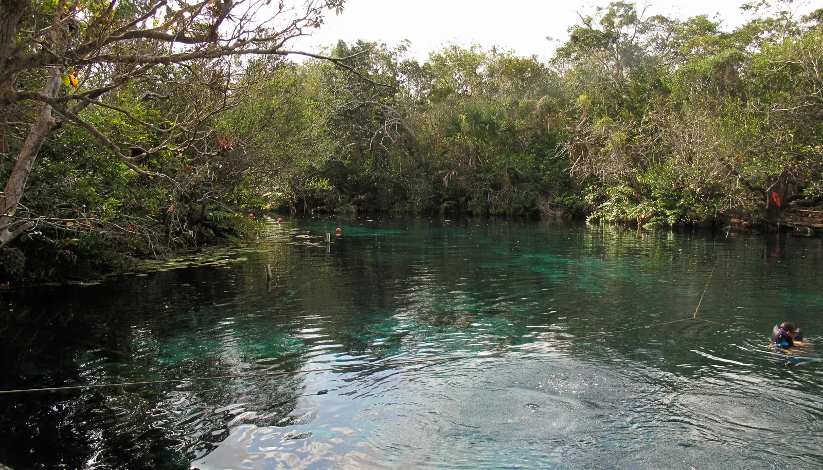 Cenote v Quintana Roo