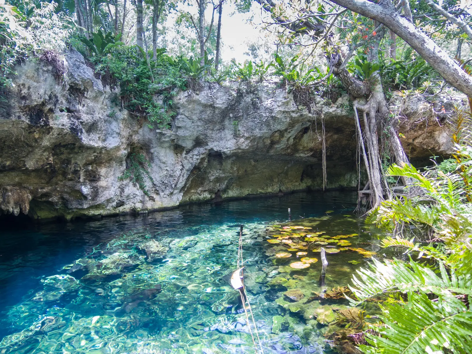 Gran Cenote pri Tulumu