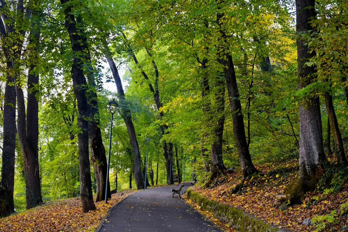 Gora Tâmpa nad Brașovom