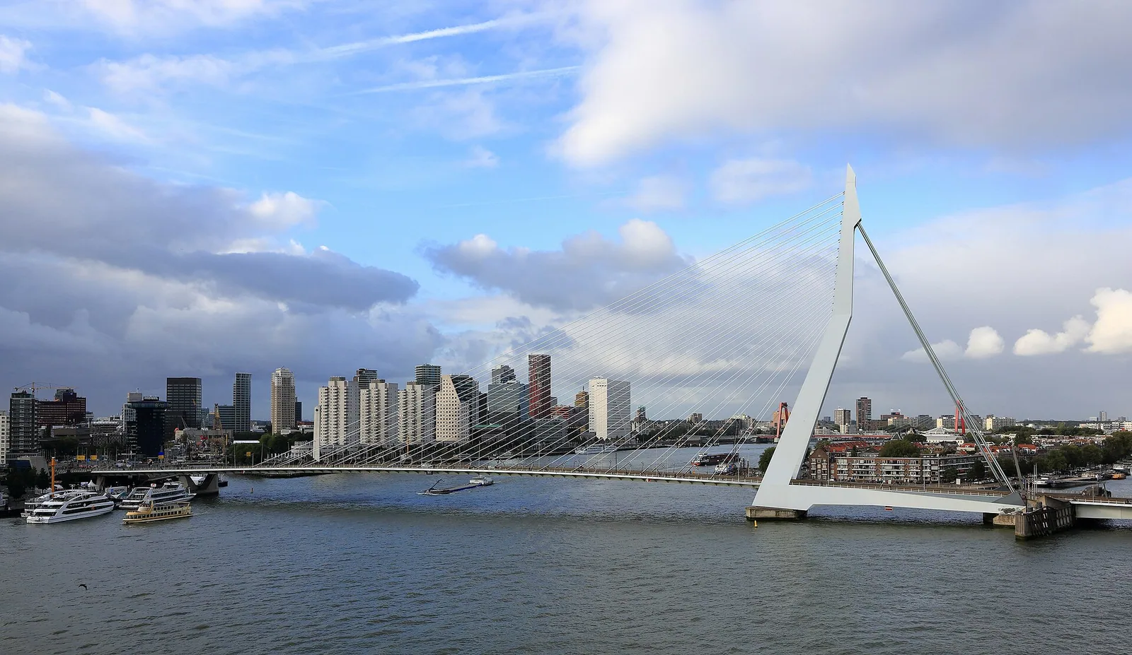 Erasmusbrug, simbol sodobnega Rotterdama