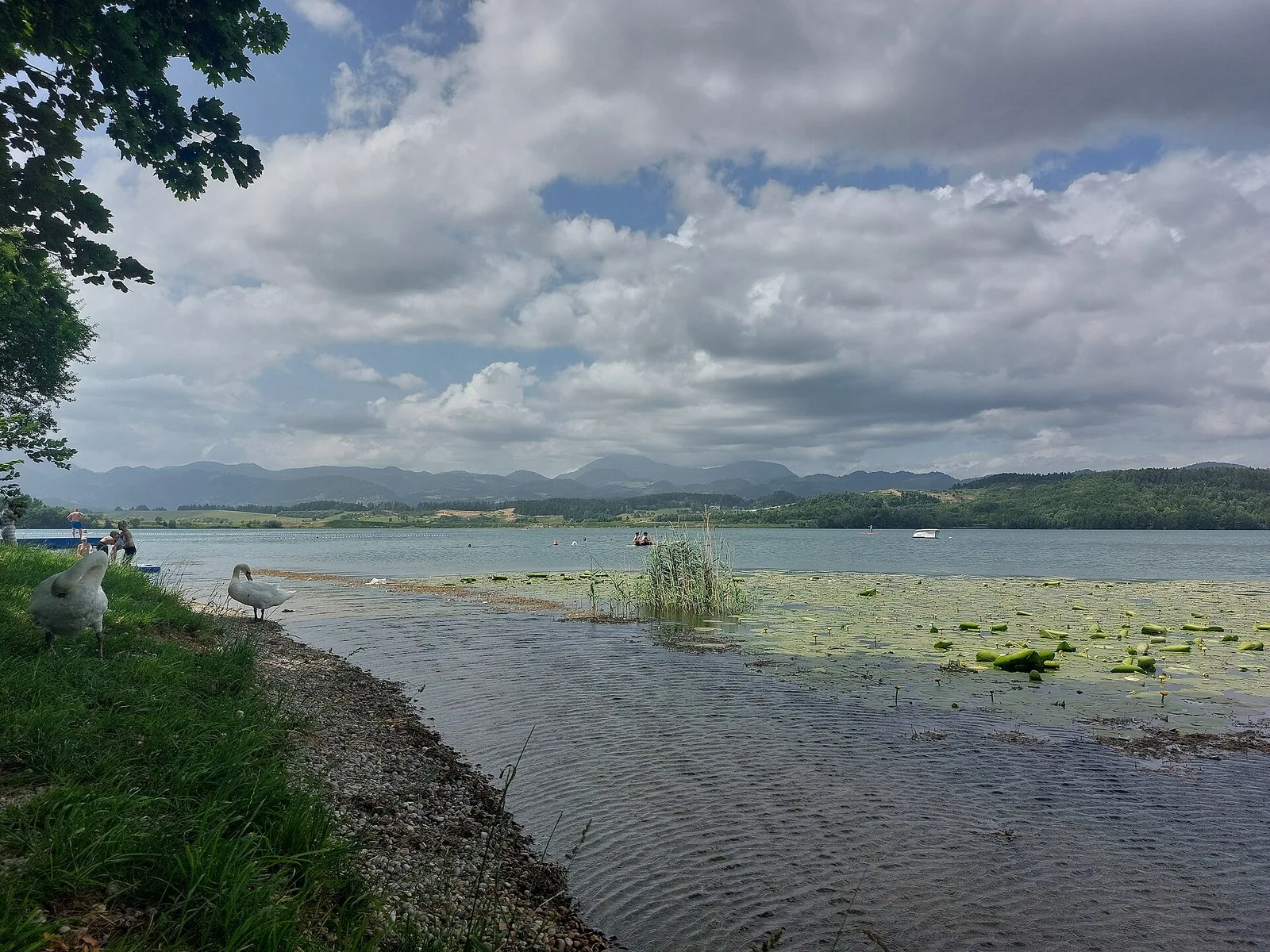 Velenjsko jezero, največje od Šaleških jezer