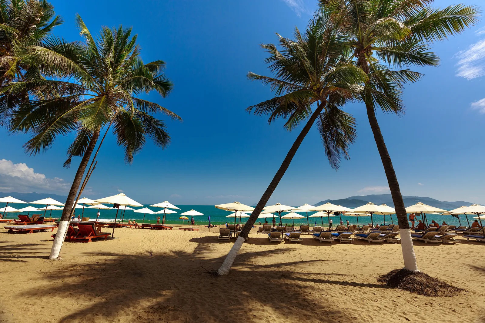 Plaža in obala Nha Tranga
